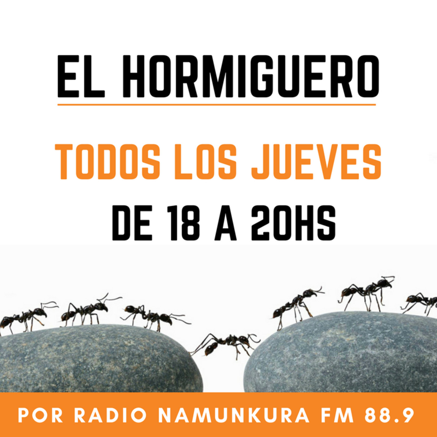 El Hormiguero - 5to programa