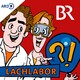 Lachlabor: Gibt es runde Hunde?