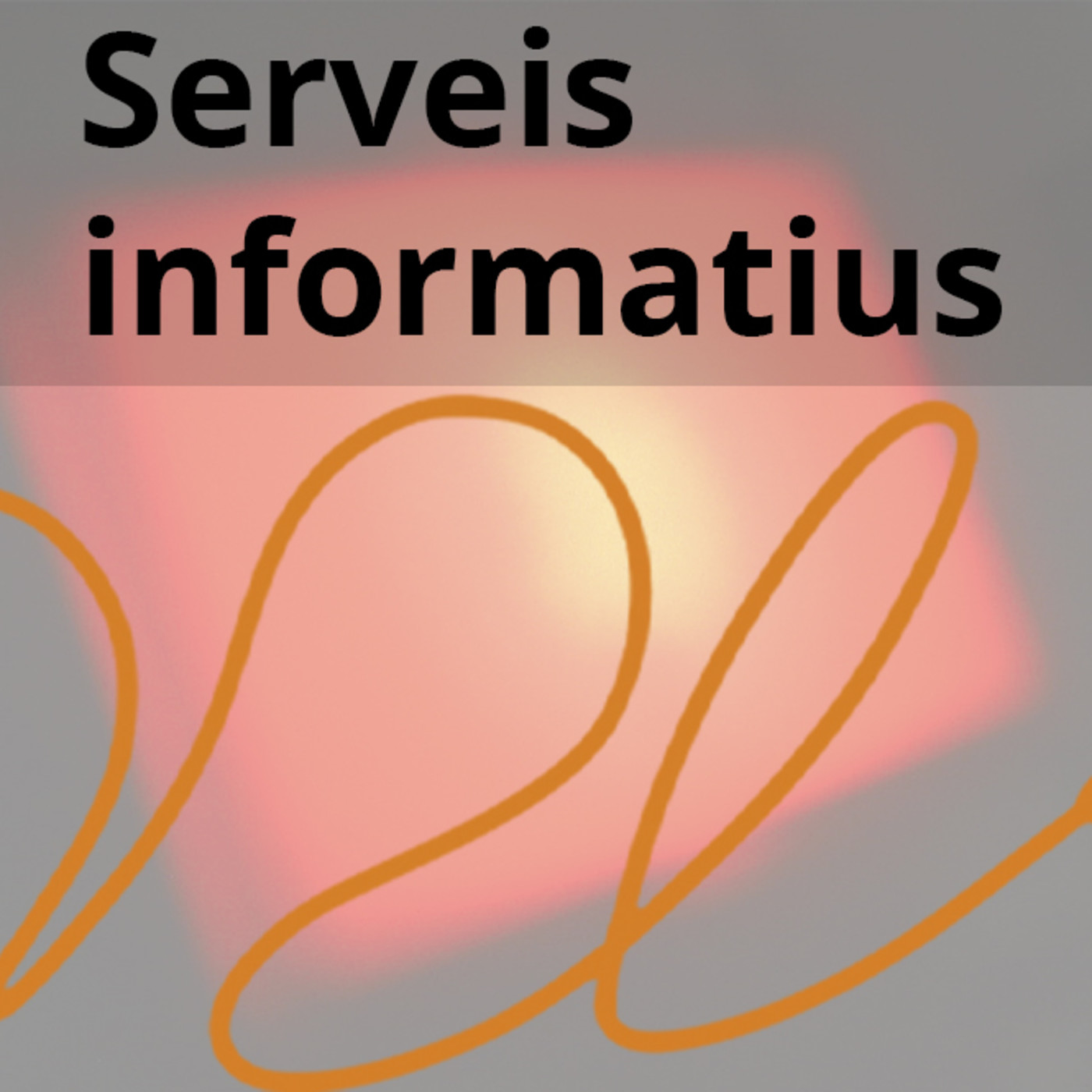 Serveis informatius