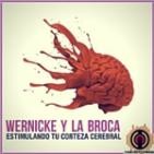 Narcolepsia