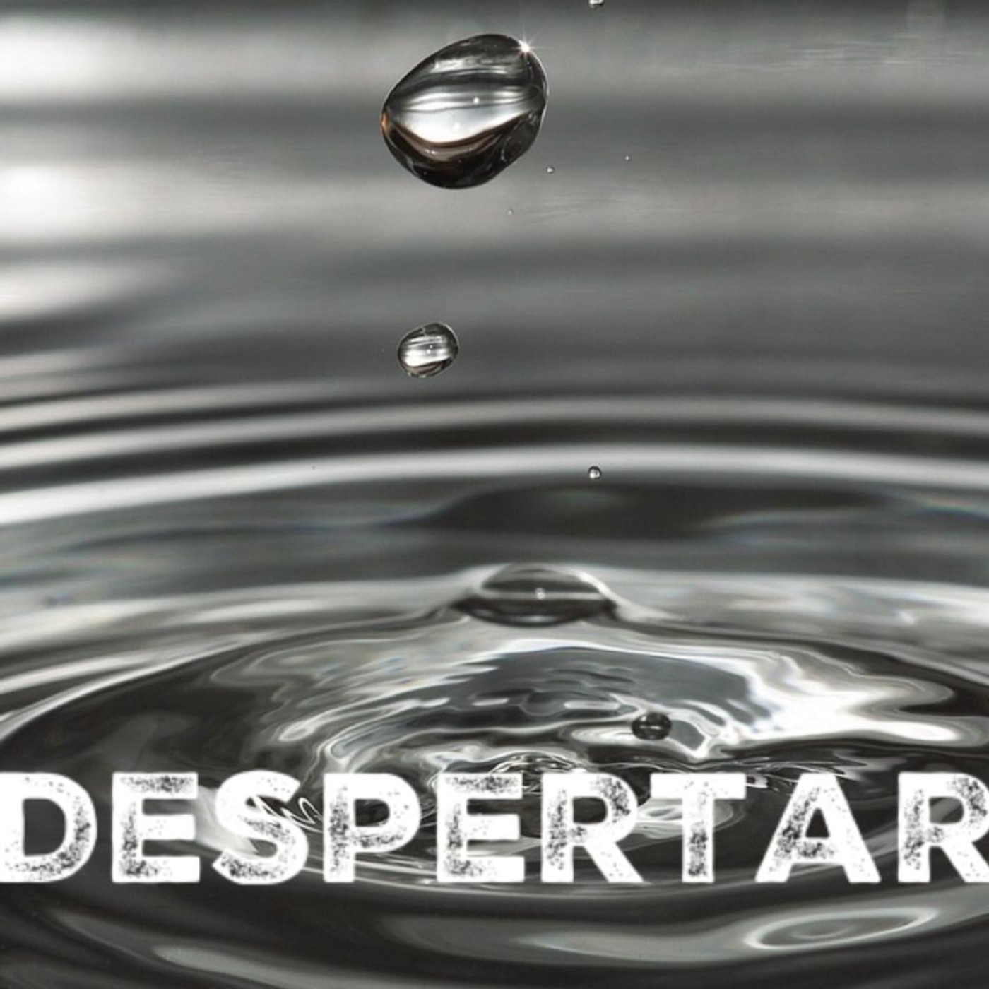 Despertar Empresarial - EDN Next