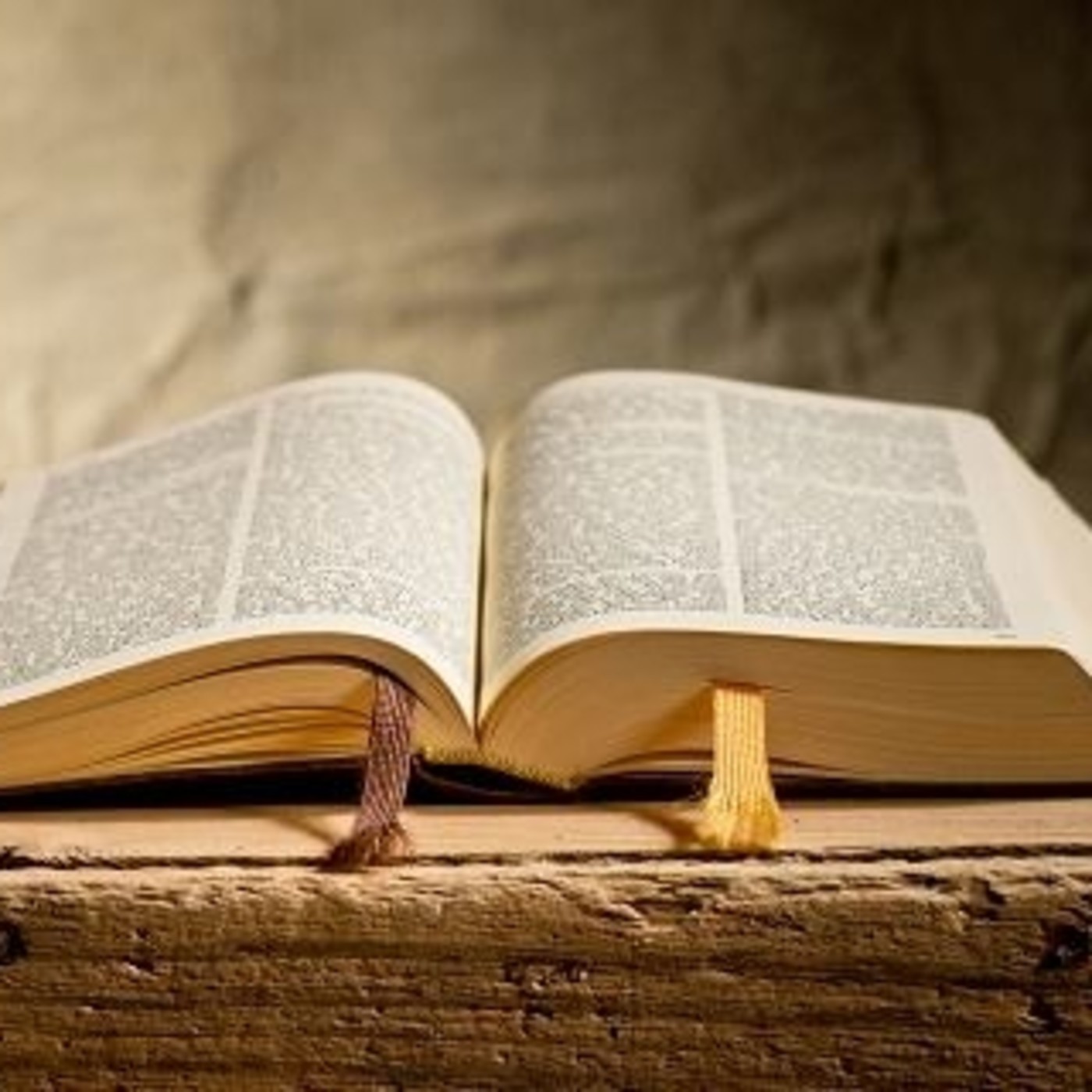 Evangelio y comentario