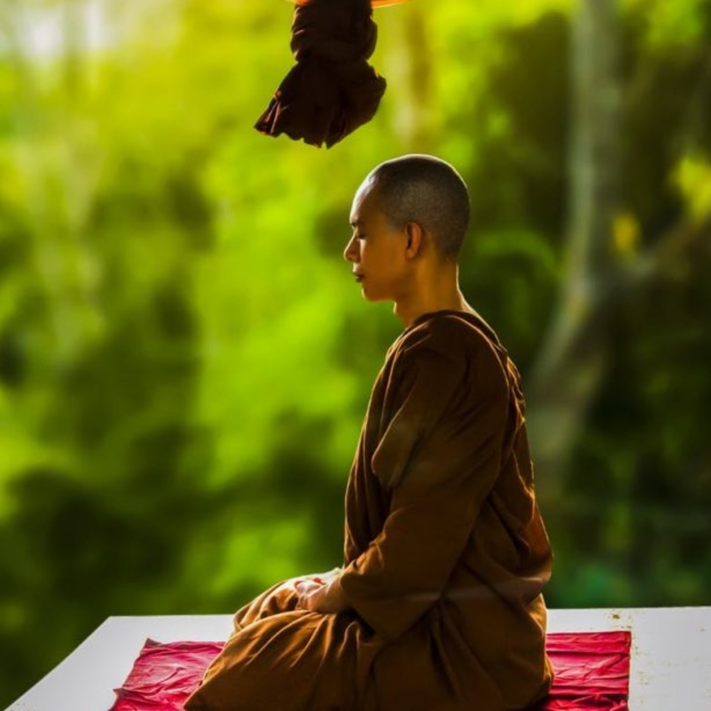 MEDITACIONES