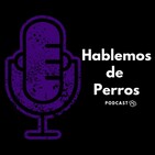 Episodio #5: ¿Qué eres para tu perro?