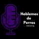 EPISODIO #48: Coche y perro