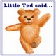 Little Ted's birthday