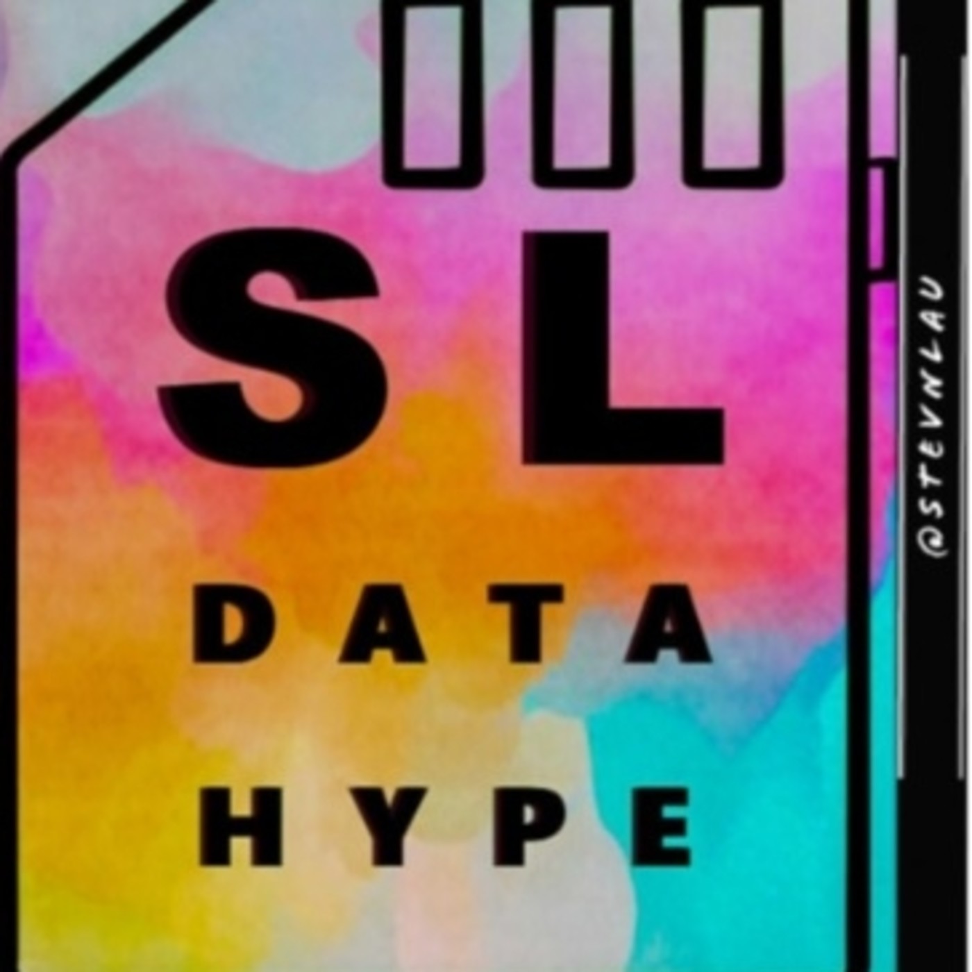 Stevn Lau - data hype