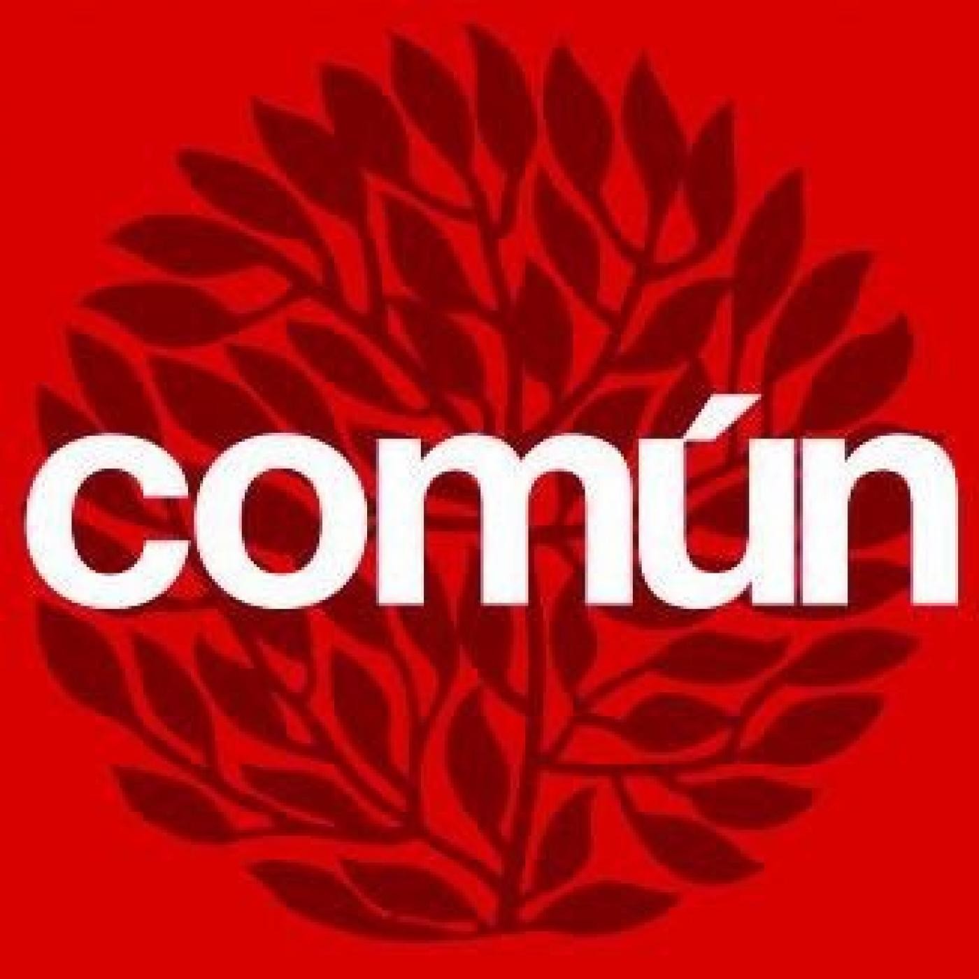 COMÚN: Red Comunal de Noticias Decimoséptima Edición Radial