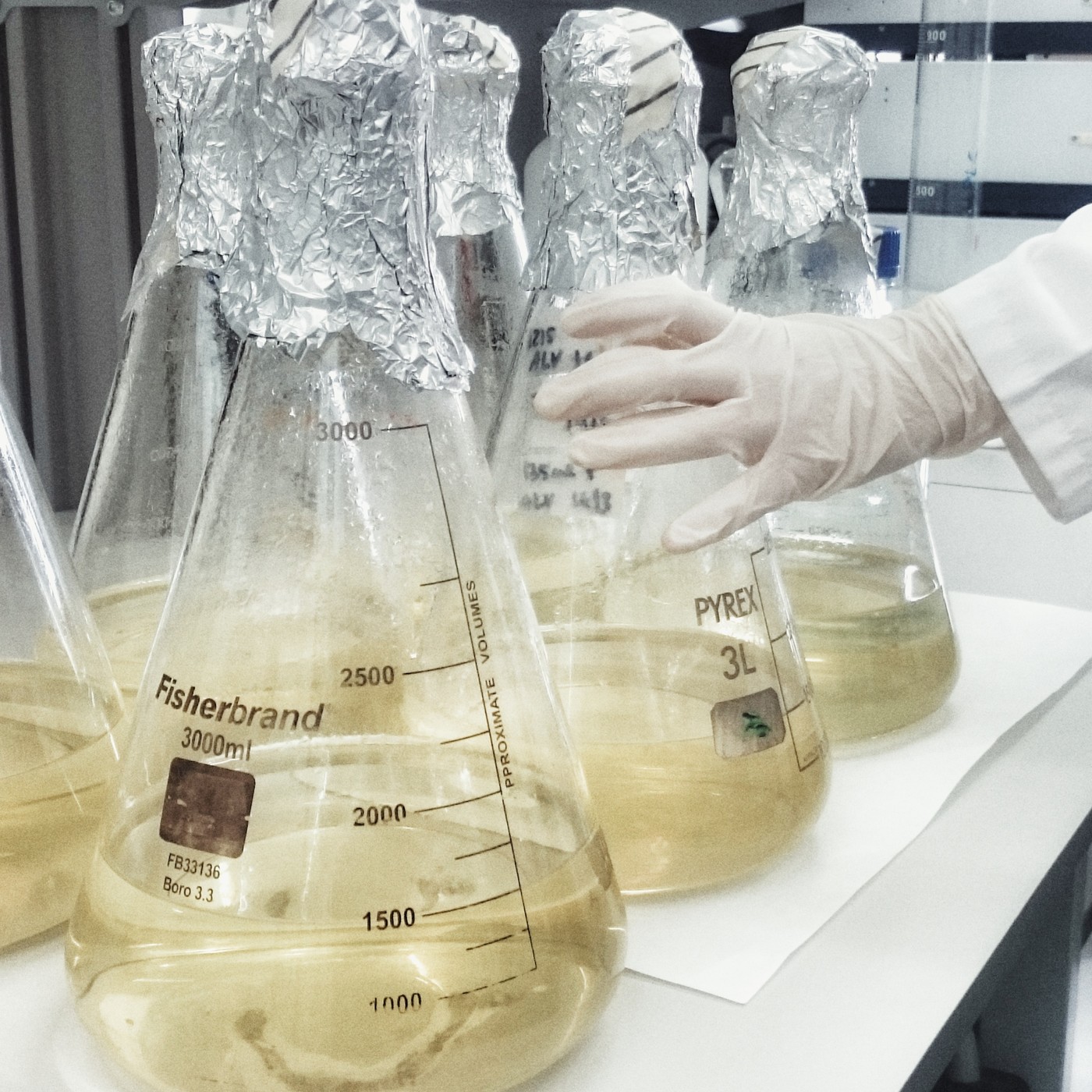 Bioquímica eres tú 