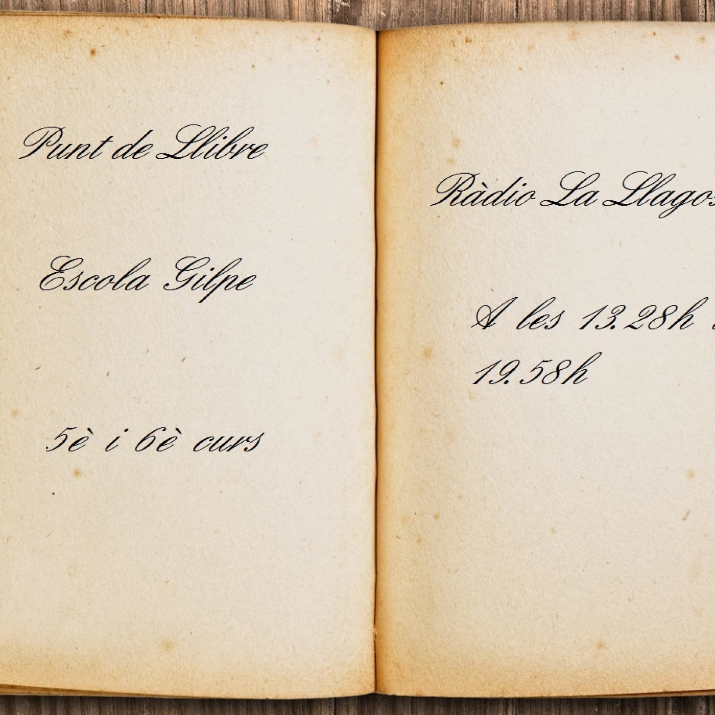 Punt de Llibre 2016