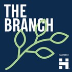 The Branch #15: The Code Breakers