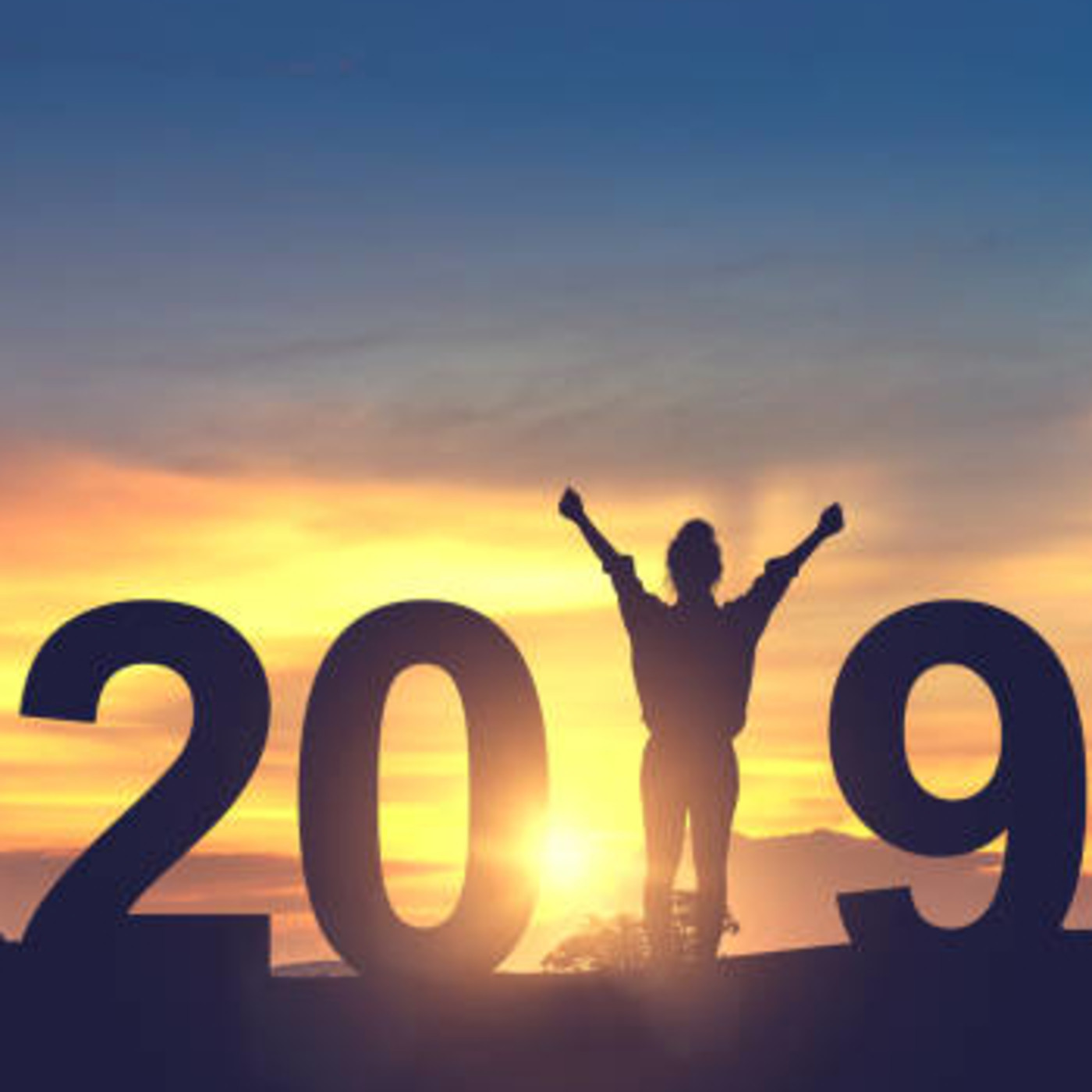 2019 - IICPH