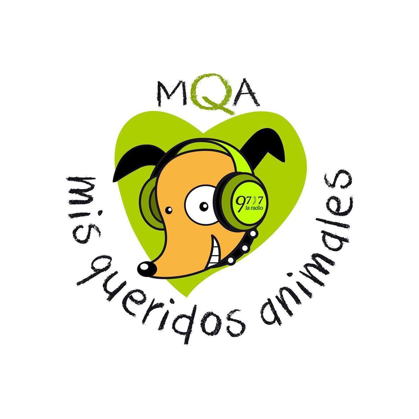 Podcast de misqueridosanimalesradio