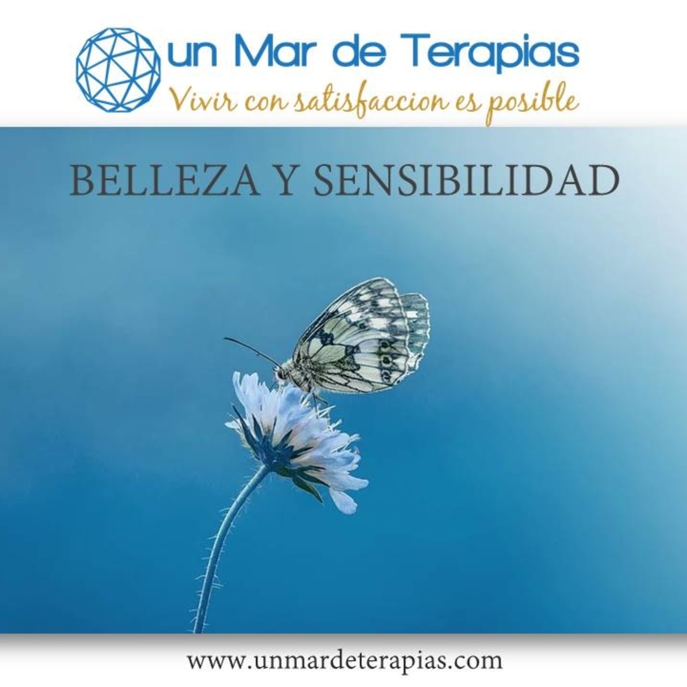 BELLEZA y SENSIBILIDAD