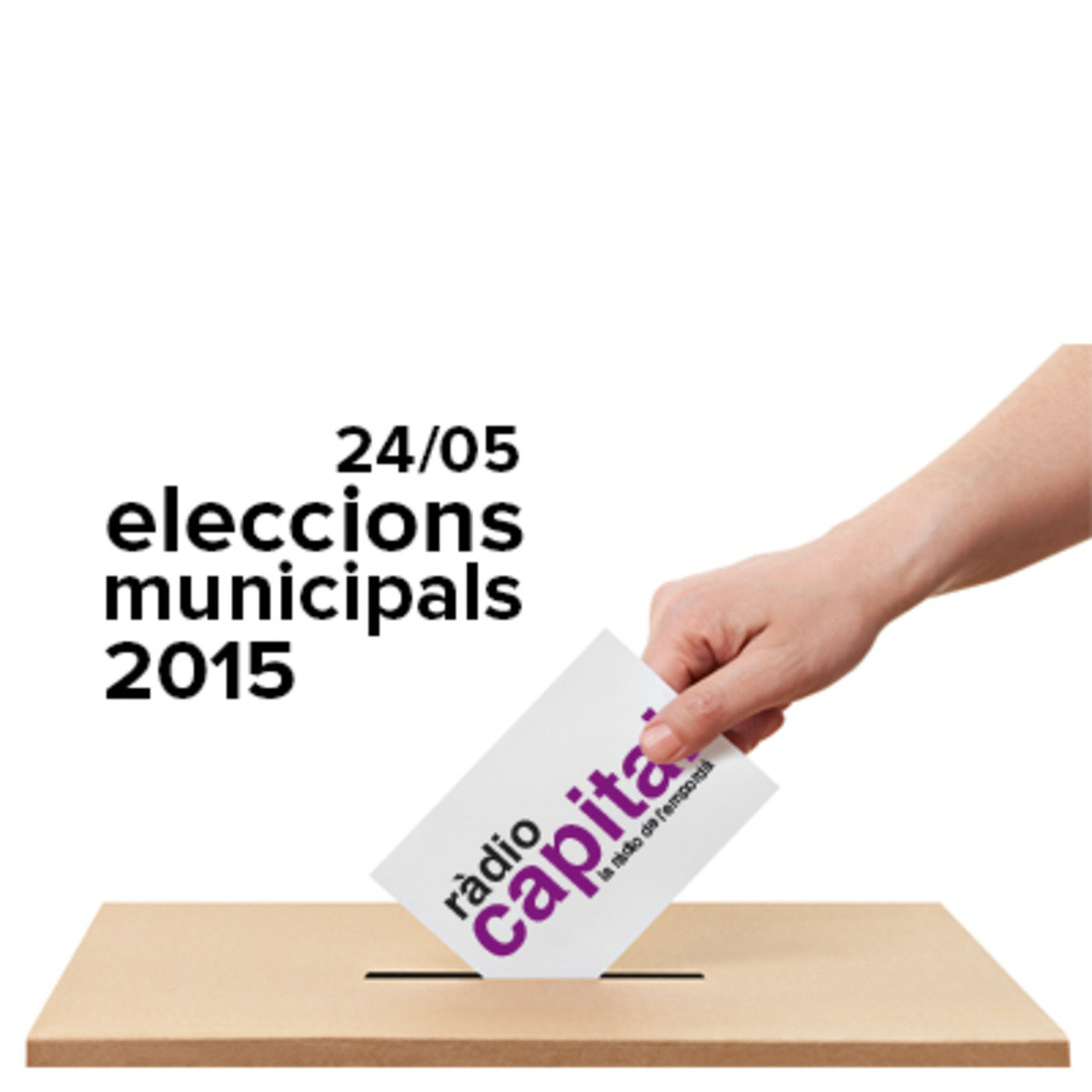Eleccions Municipals 2015