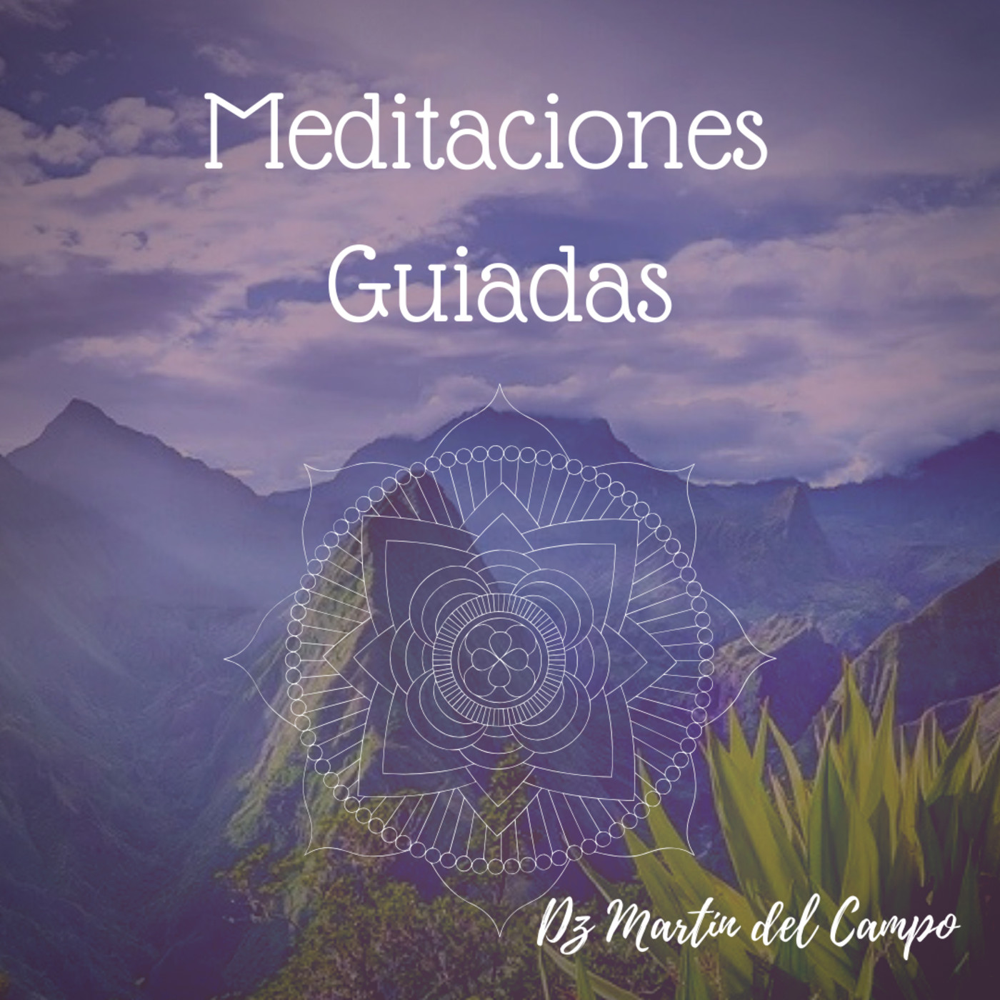 Meditación Conecta con la Respiración del Cosmos