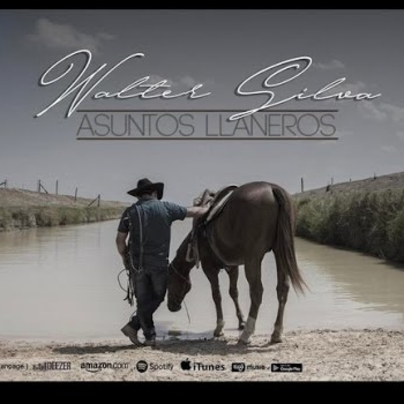 Walter Silva Promo 2017 "Asuntos Llaneros"
