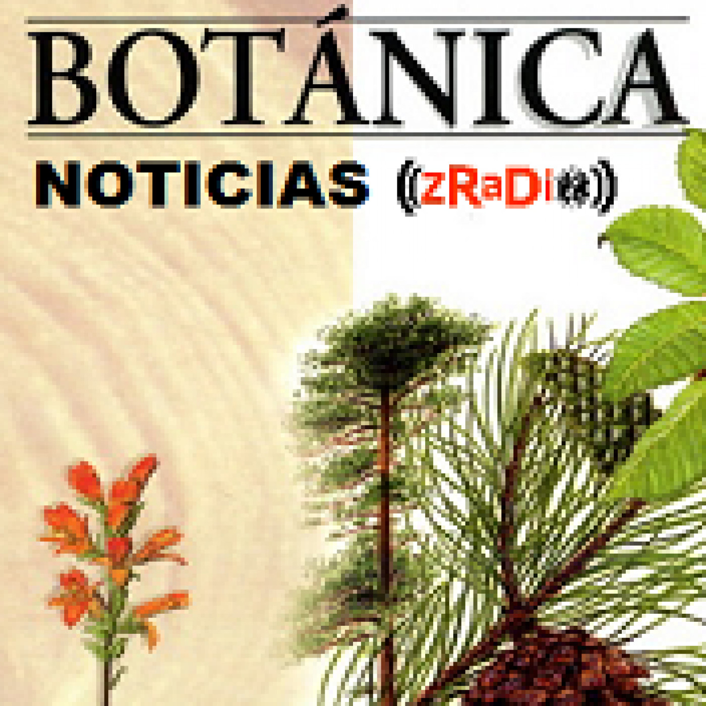 ((ZRaDio)) 2015-2016 ((Noticias de Botánica))  