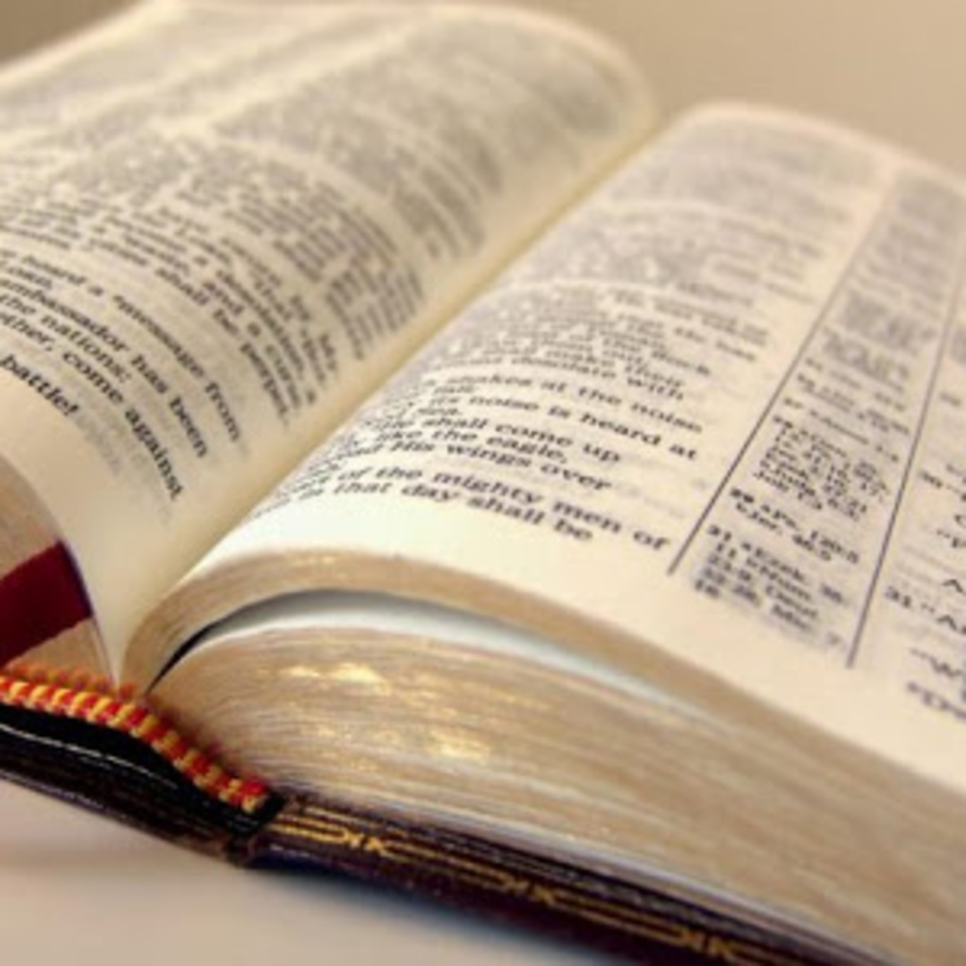 Cursos Instituto IBA 2020