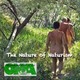 Introducing 'The Nature of Naturism'