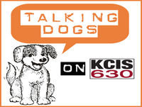 12/4/18 - Top Dogs #4-Beagle