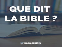 #117 - Que penser des Églises qui organisent des groupes de communauté ?