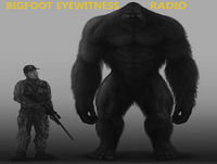 Bigfoot Eyewitness Episode 239
