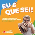 Porque é que os contentores de reciclagem têm as cores azul, amarela, e verde?
