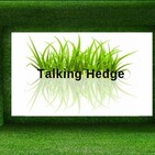 Innovative Cannabis Packaging Solutions (2020)