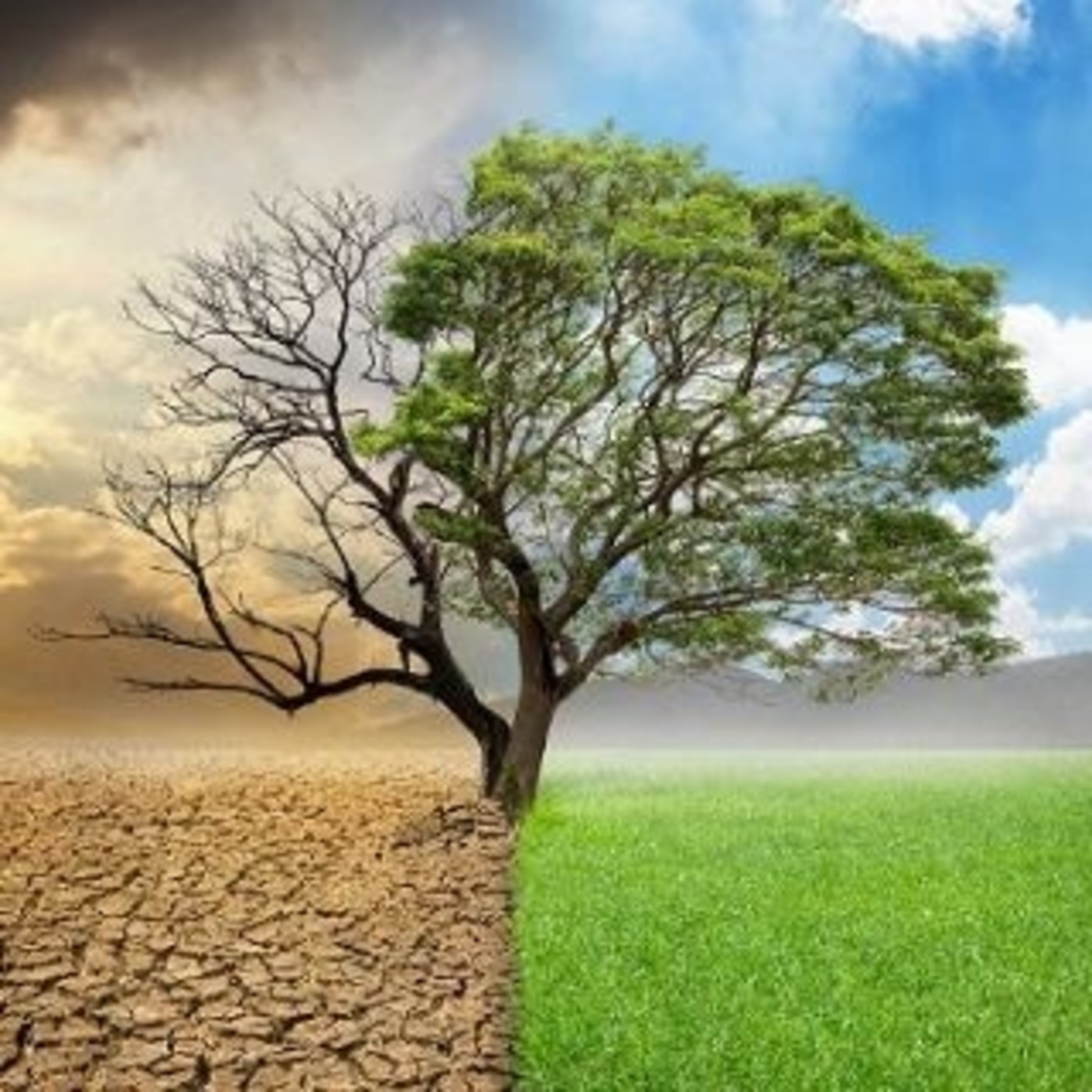 Abundancia en época de Crisis