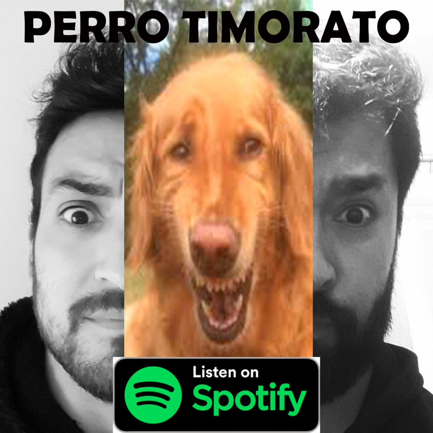 Perro Timorato