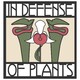 Ep. 226 - Cities Need Trees
