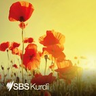 Australian students at risk of slipping behind in performance - Metirsiya li ser xwendinê li Australya heye