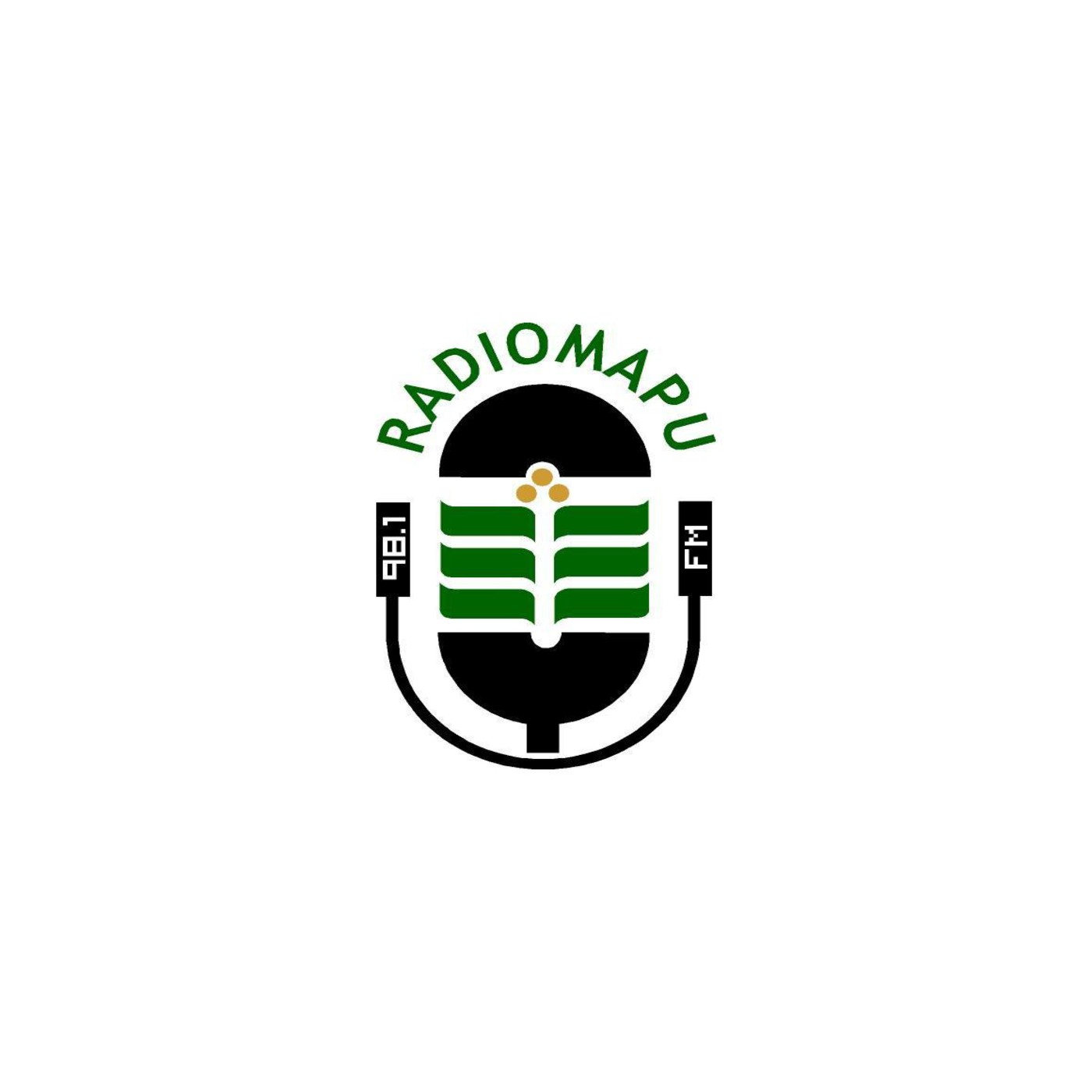 Taller RadioMapu 2014 1er Sem. 5to y 6to