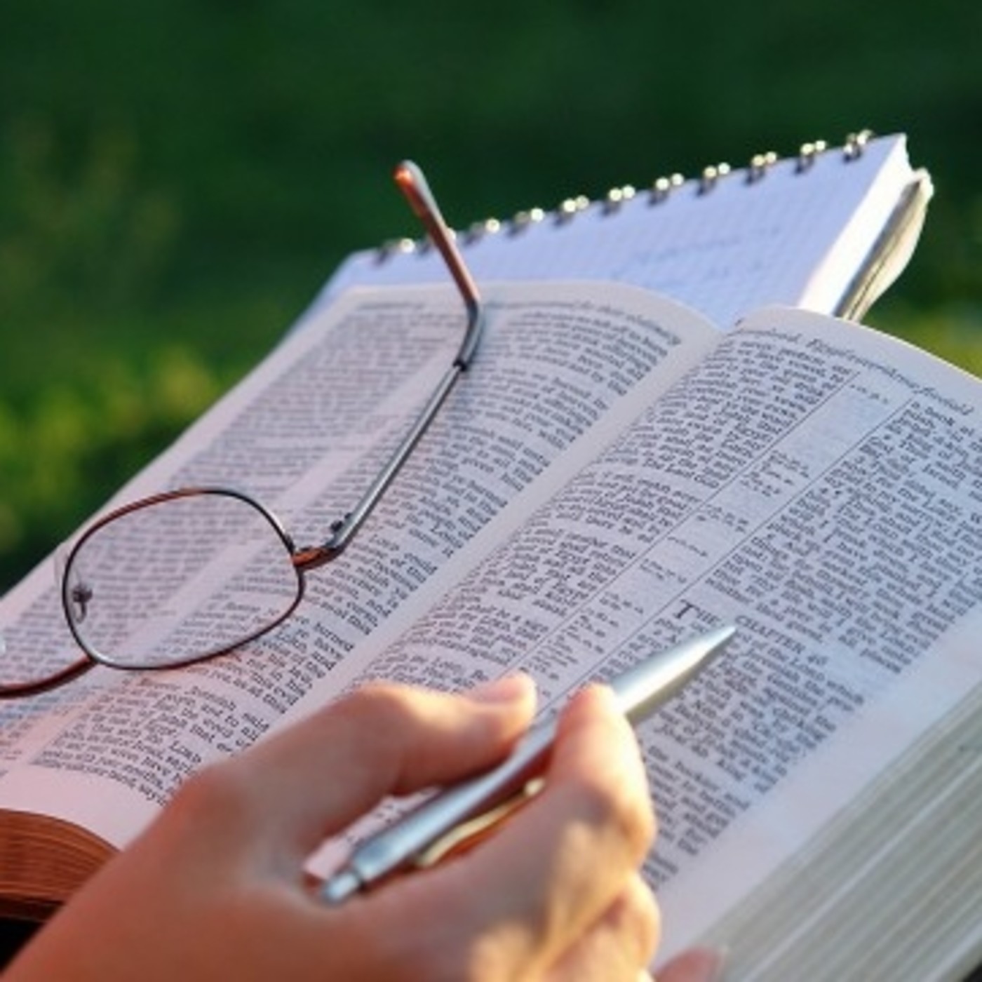 Samuel Pérez Millos-Doctrina de la Salvación