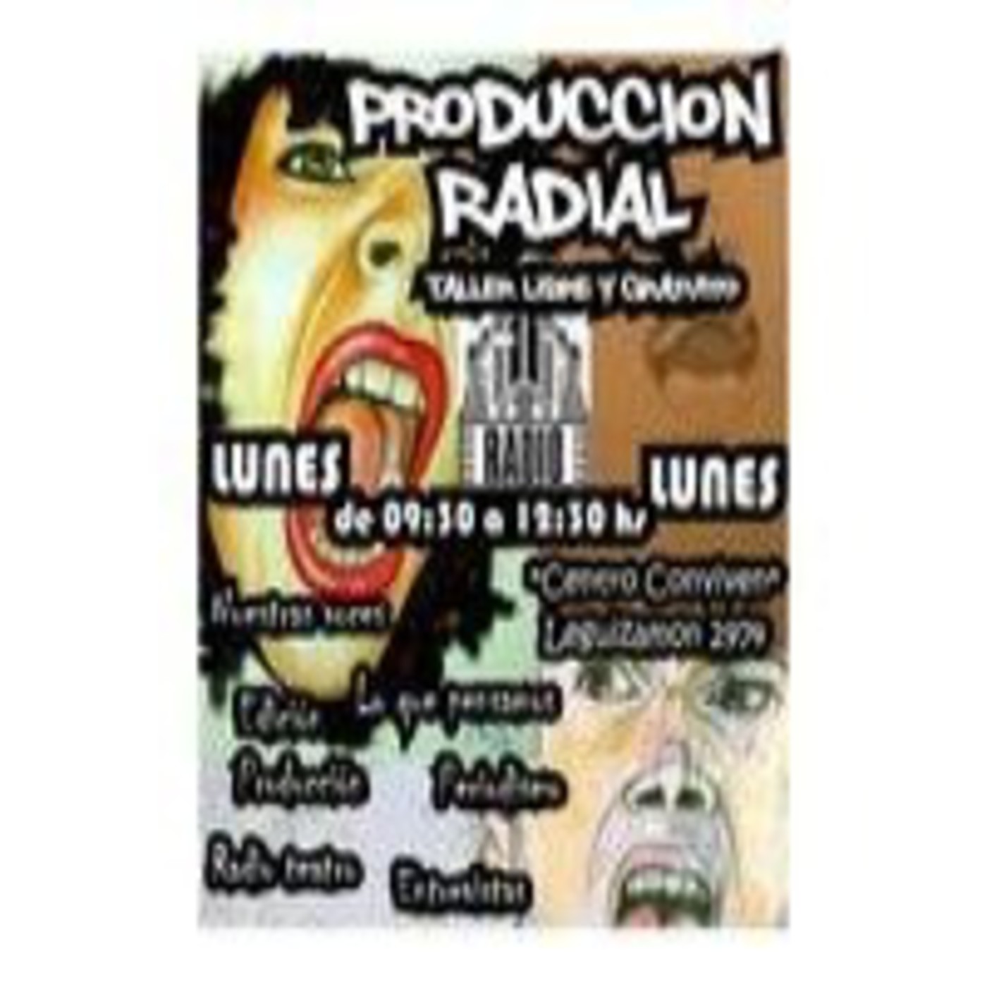 SaludSexualyReproductiva-Informe Sonoro