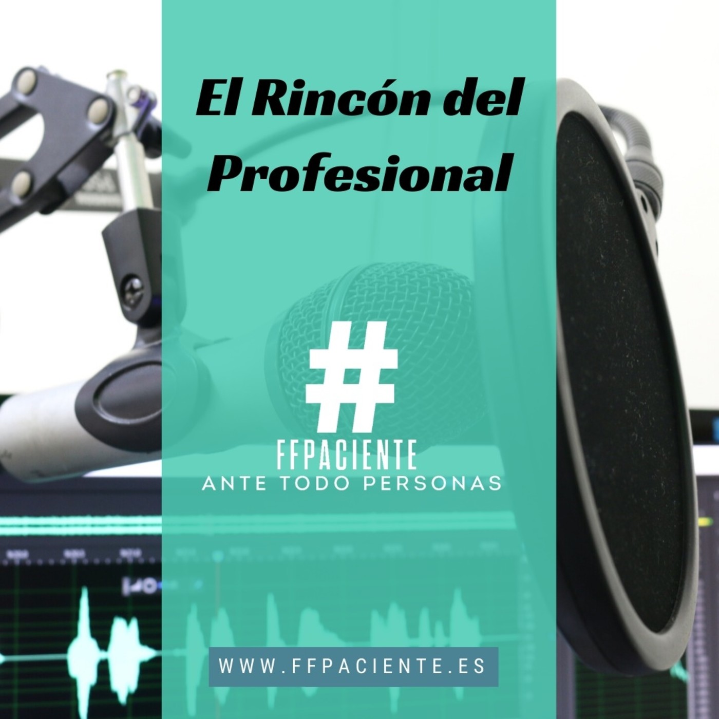 El Rincón del Profesional