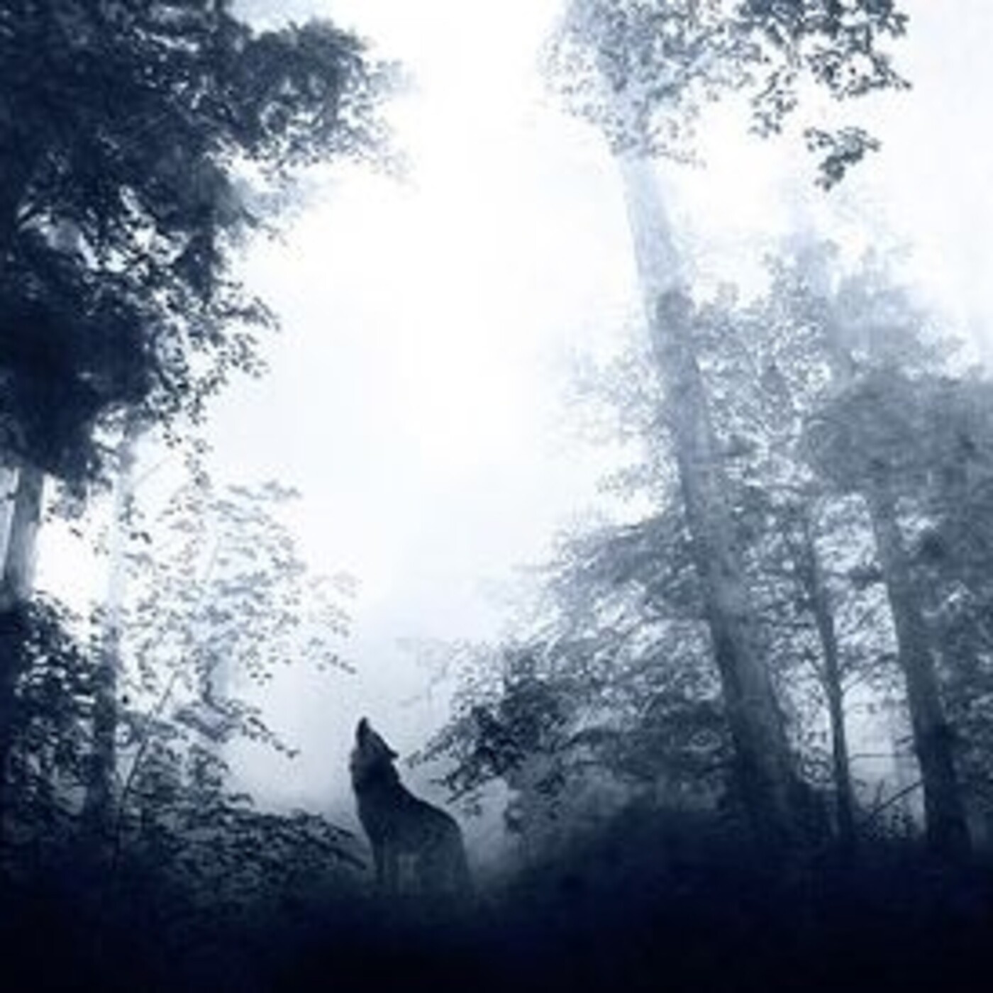 ESTE PROGRAMA SIN NOMBRE