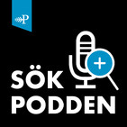 #50 Städmani