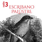 Mientras el aire es nuestro (Escribano Palustre)