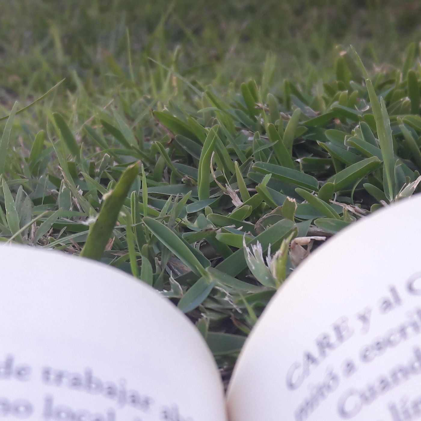 Lecturas Imperdibles