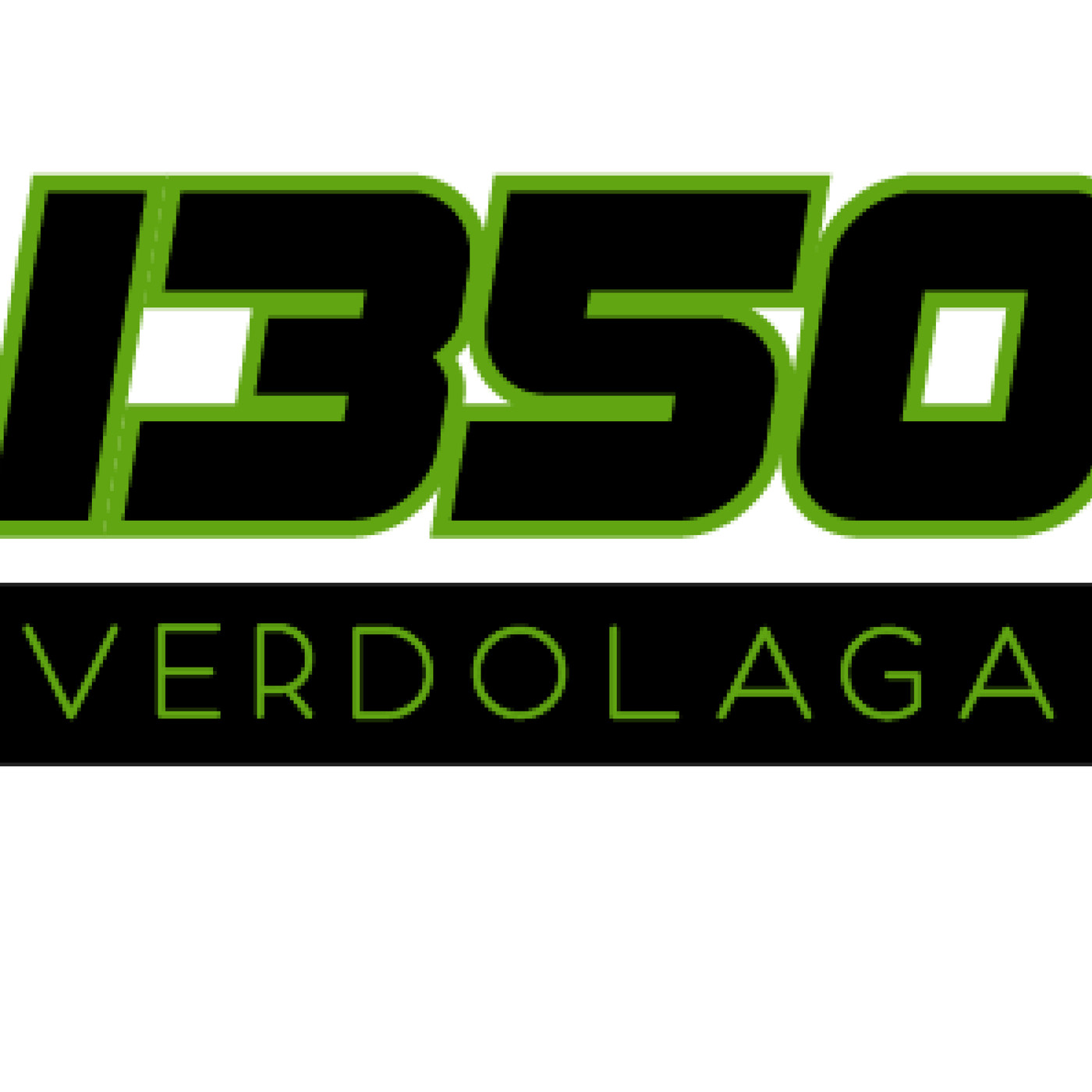 1350 VERDOLAGA