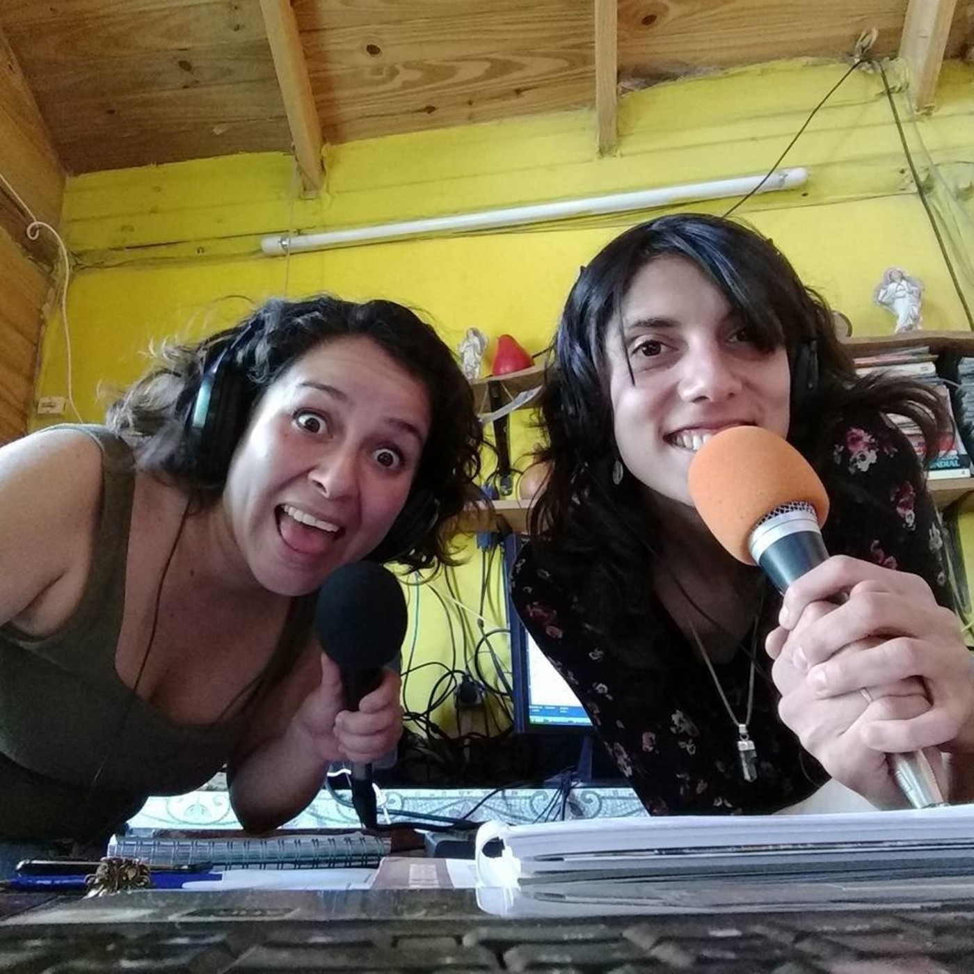 Cultura Inquieta - Villa Pehuenia