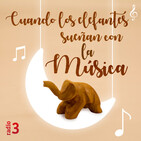 Cuando los elefantes sueñan con la música - El cine de Kyle Eastwood - 12/11/19