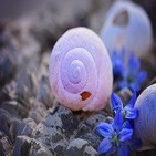 LA ESCUELA DE LA FLOR DE LIS