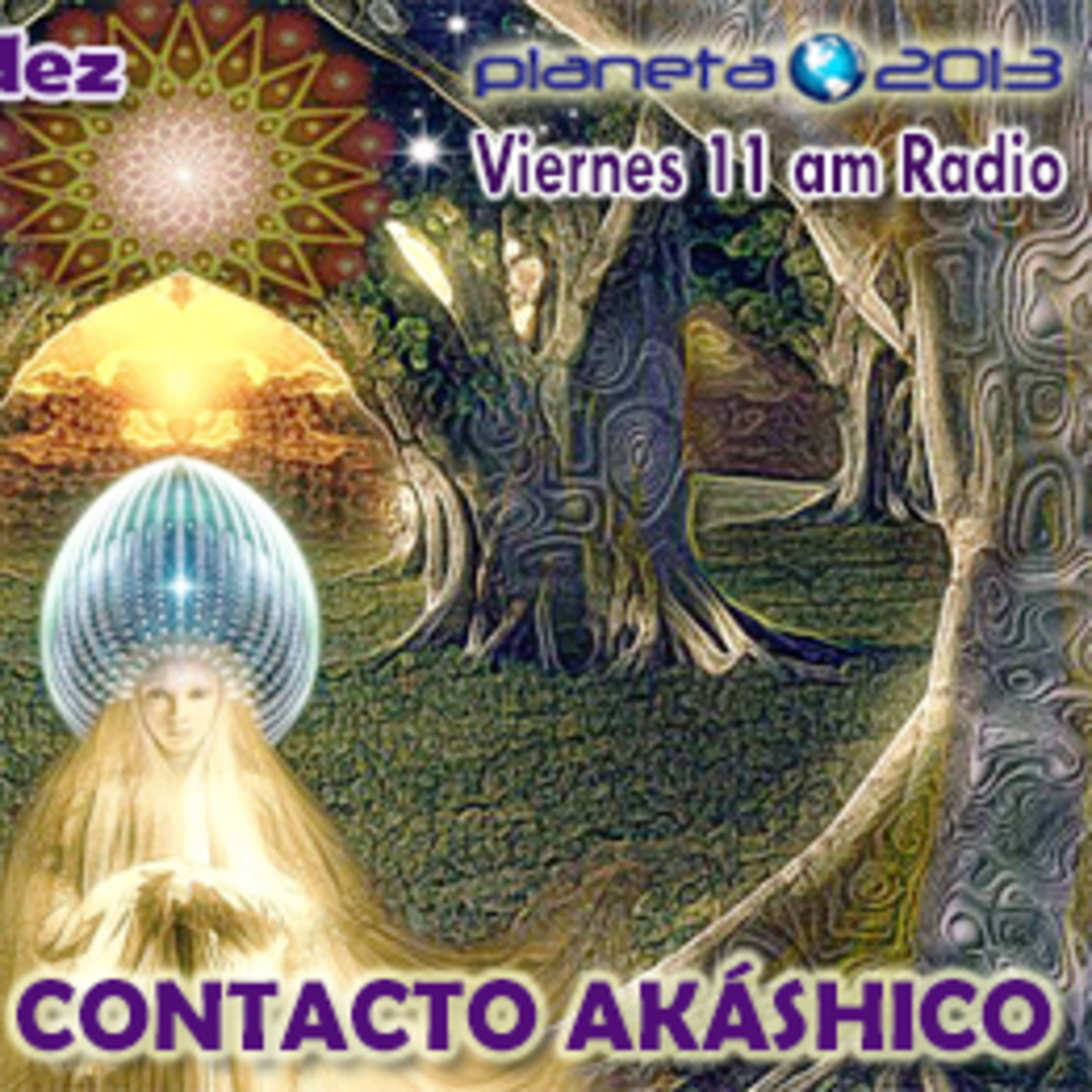 Contacto Akashico