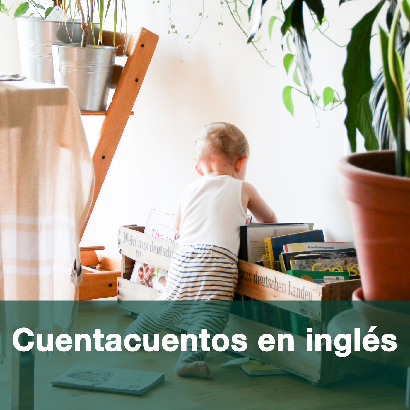 Cuentacuentos en inglés