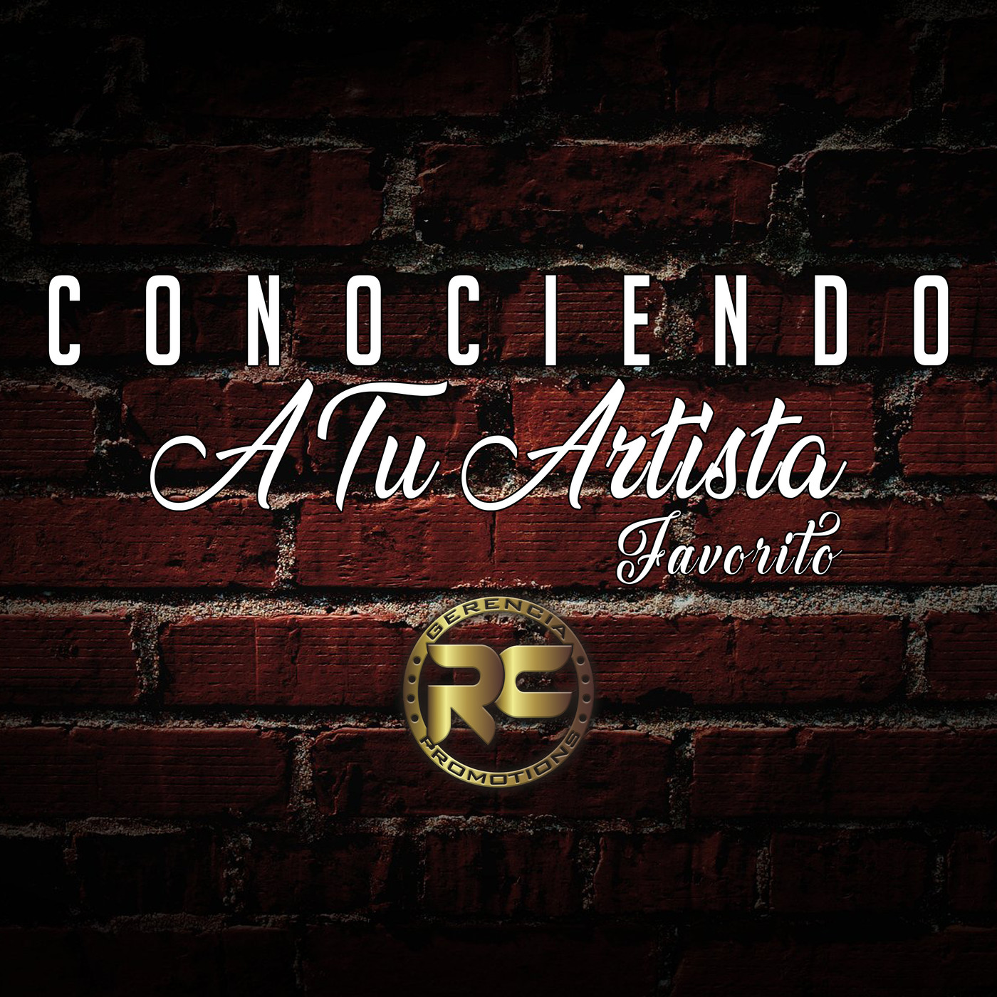 Conociendo A Tu Artista Favorito