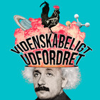 #3.20: Forskere, der forsker på sig selv
