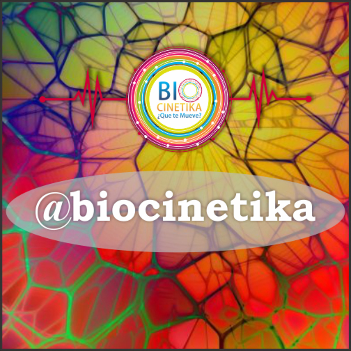 Biocinetika El Arte de Aprendernos